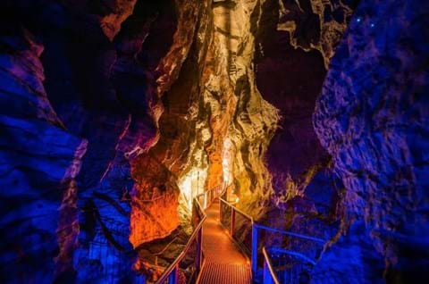 Discover Waitomo Caves image