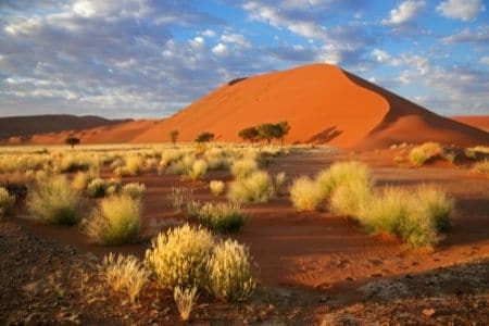 Highlights of Namibia - Solo Traveller