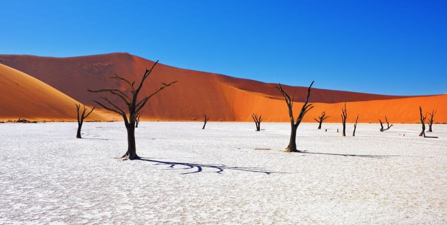 Visit Deadvlei on guided Namibia tour