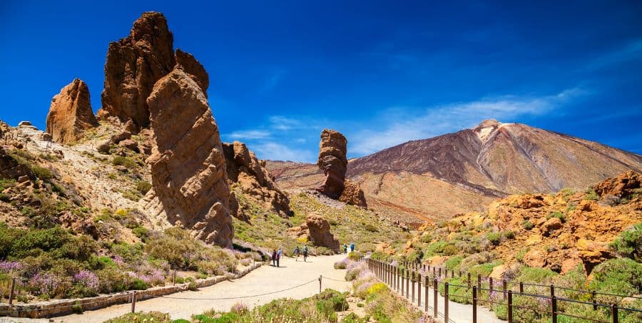 Guided excursion of Mount Teide