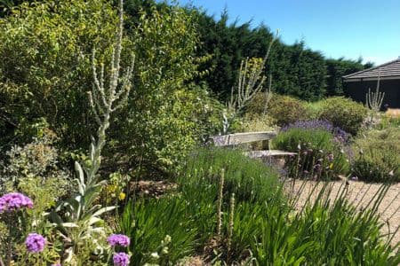 Beth Chatto Gardens & the Gardens of East Anglia