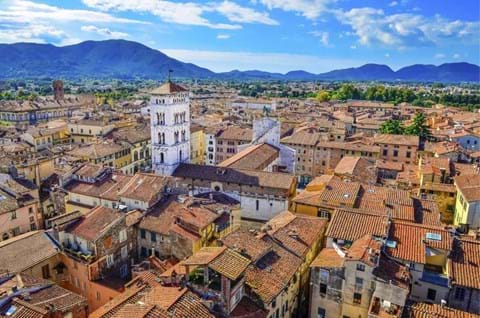 Escorted Tours Of Tuscany image